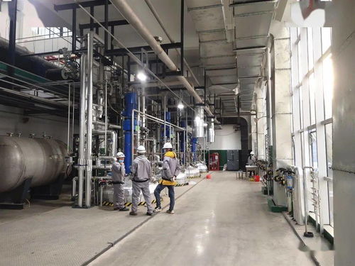 總投資50億元，富祥科技生物醫藥項目邁入試生產新階段