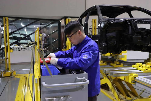 技藝融合，智創(chuàng)未來——記2017全國機(jī)械行業(yè)“金源詩琴杯”職業(yè)院校汽車車身修復(fù)與整形技術(shù)大賽